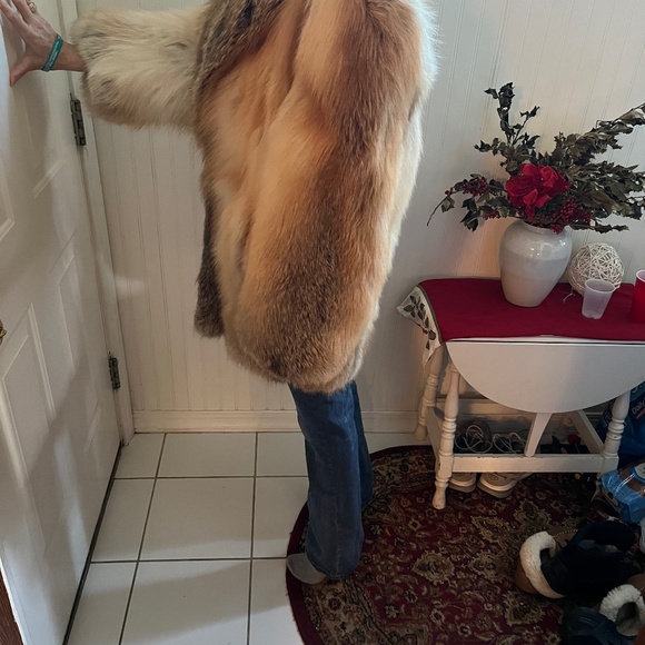Beautiful Golden island fox coat - Picture 12 of 16